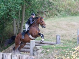 IMG_8273_web